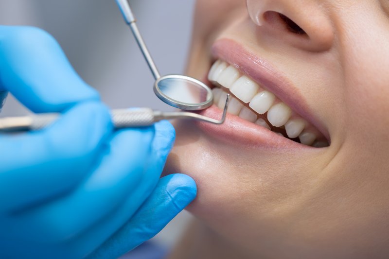 A dentist examining their patient’s four types of teeth